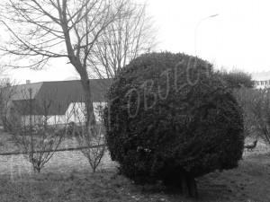 p1130037-copie1
